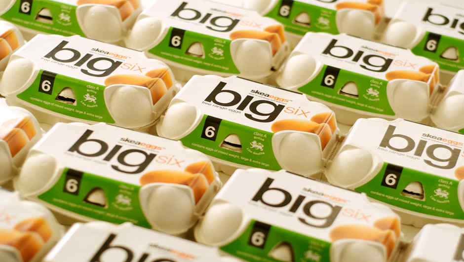 Paper recycled into egg boxes
